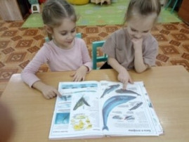 "Удивительный мир подводного царства" "Удивительный мир подводного царства".