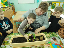 "Огород на подоконнике" "Огород на подоконнике".