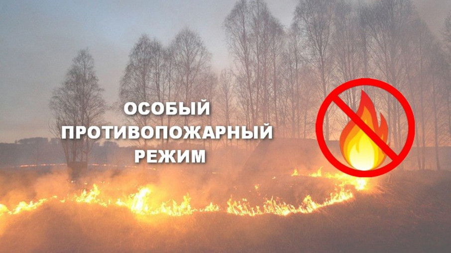 Особый противопожарный режим! Требования пожарной безопасности! Особый противопожарный режим! Требования пожарной безопасности!.